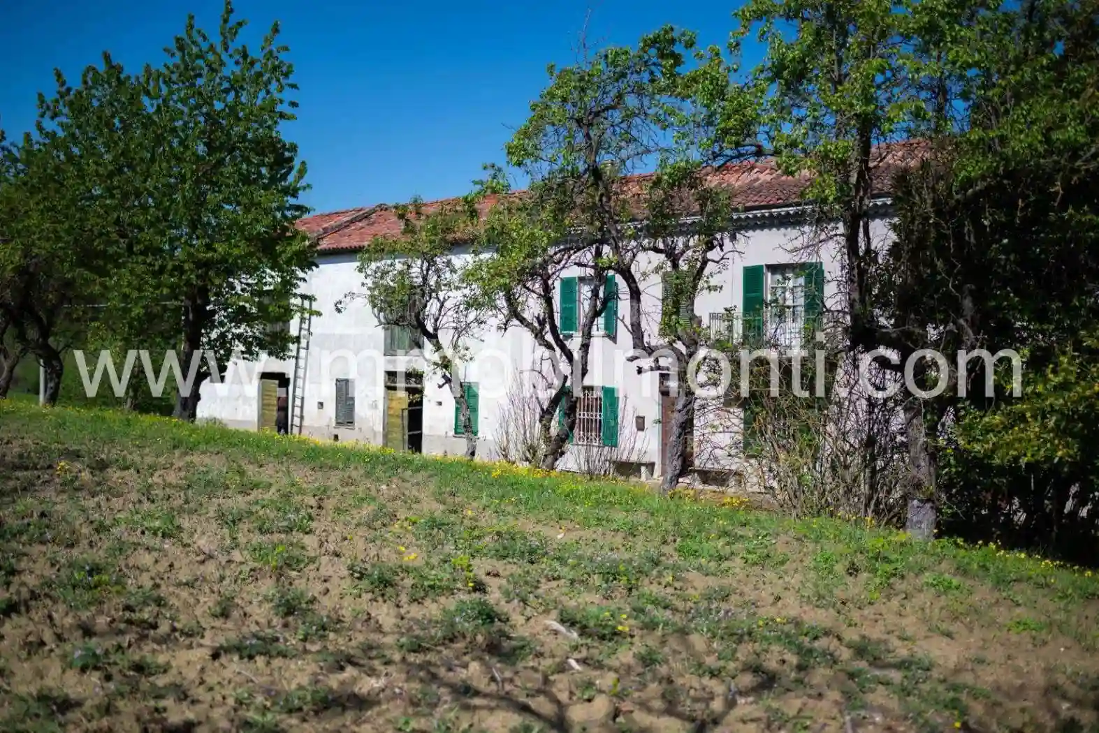 Rustico - Casale - foto 4