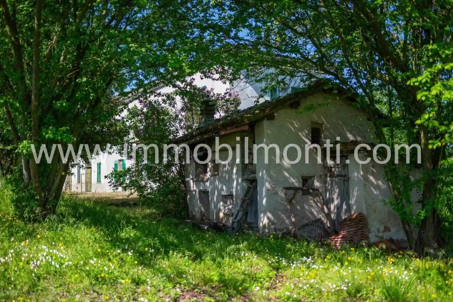 Rustico - Casale - foto 5