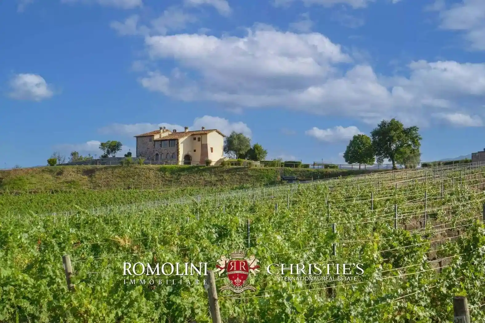 Villa in vendita a Montevarchi