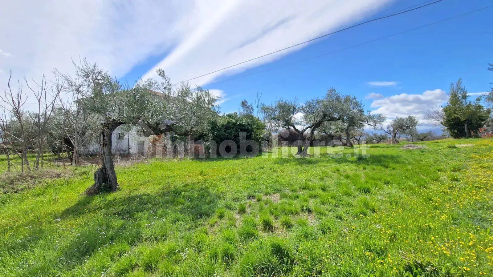 Casa indipendente in vendita a Pianella