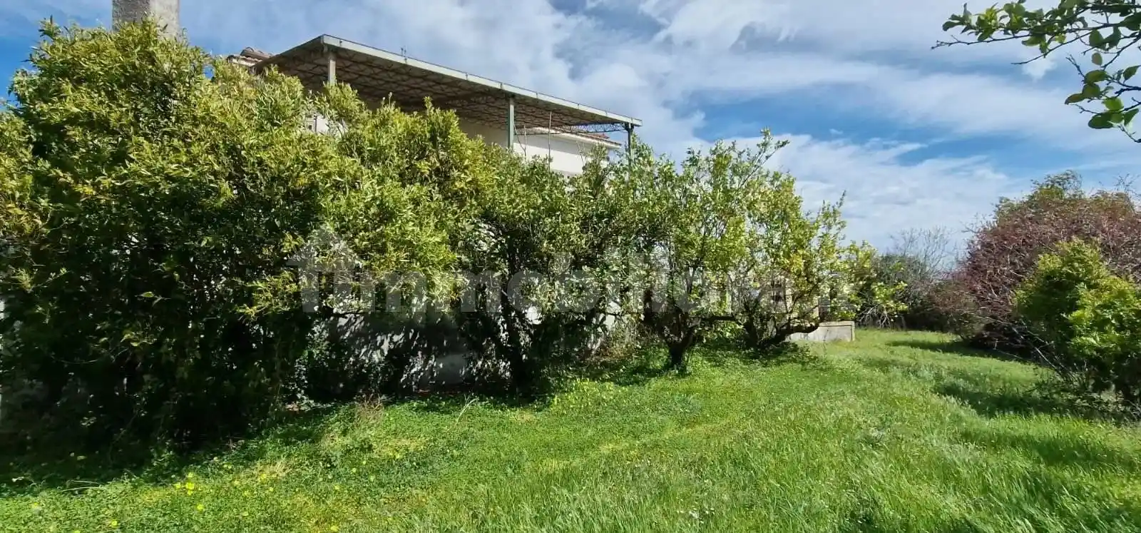 Terratetto unifamiliare 372 m², Pianella - foto 4