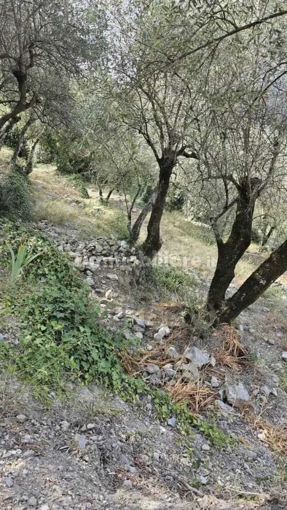 Rustico Località Para, Airole - foto 4