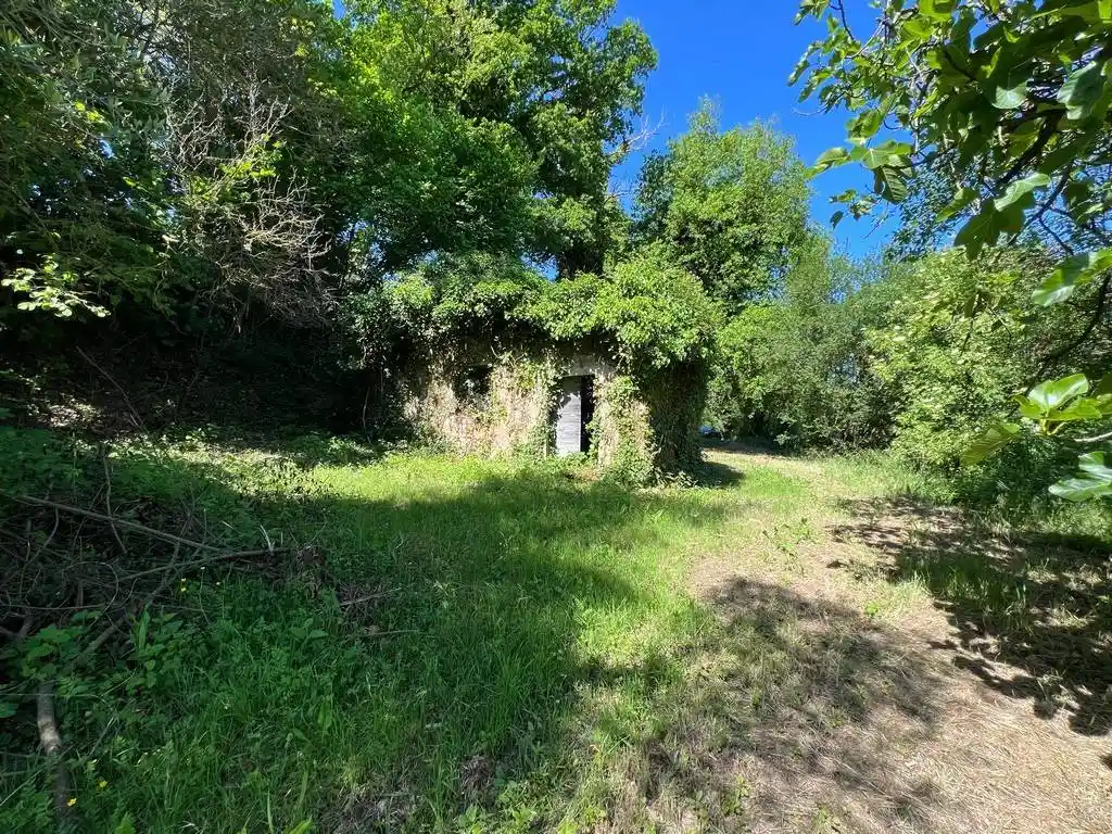 Rustico - Casale in vendita a Otricoli