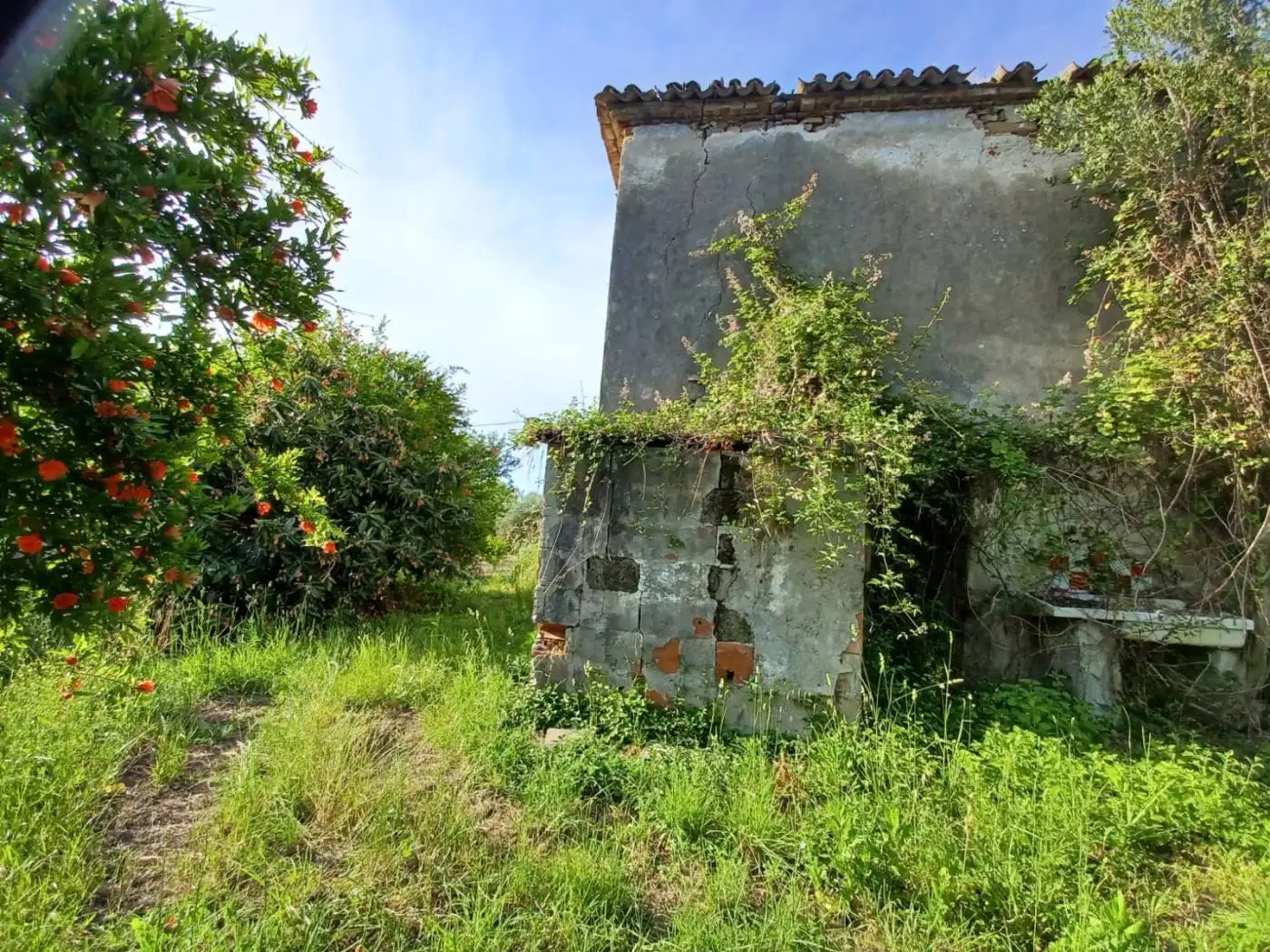 Rustico - Casale in vendita a Agropoli