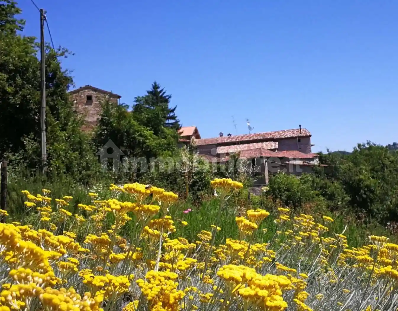 Rustico - Casale in vendita a Langhirano