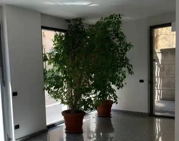 Trilocale via Giovanni Ricordi, Città Studi, Milano - foto 4