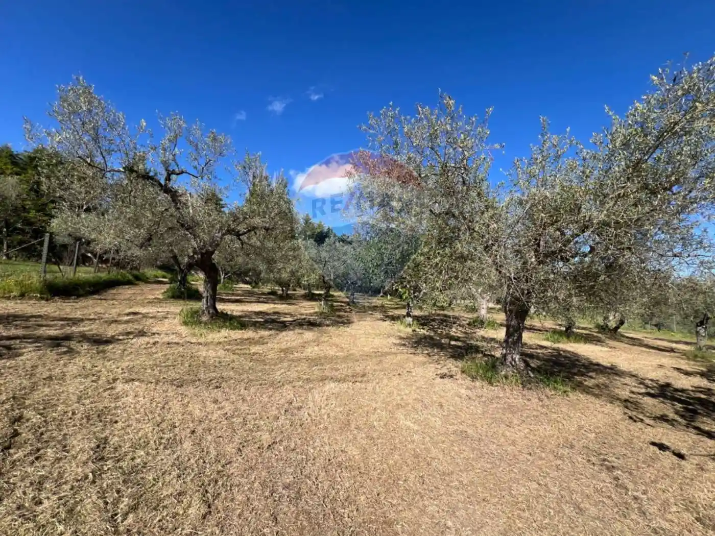 Terratetto unifamiliare Strada provinciale 10, Venosa - foto 3