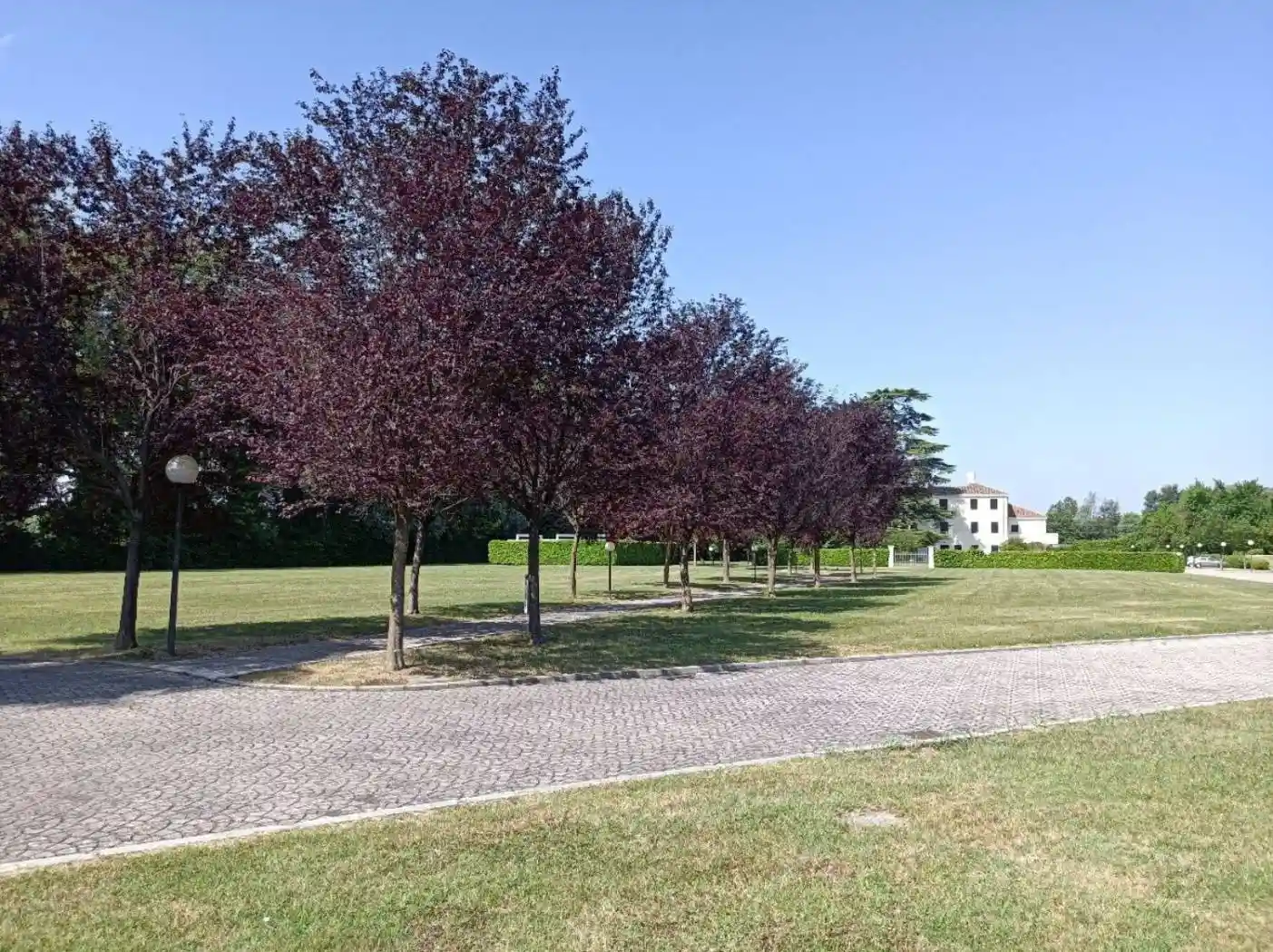 Villa in vendita a Mogliano Veneto