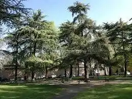 Appartamento in vendita a Reggio Emilia