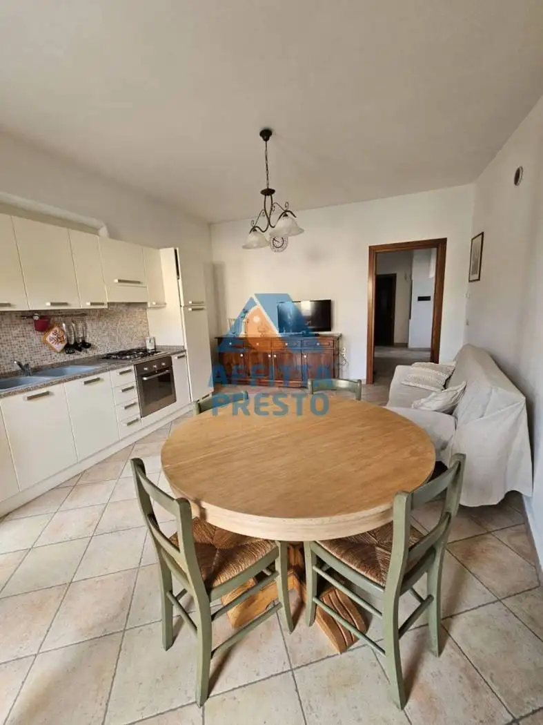 Appartamento in affitto a Palaia