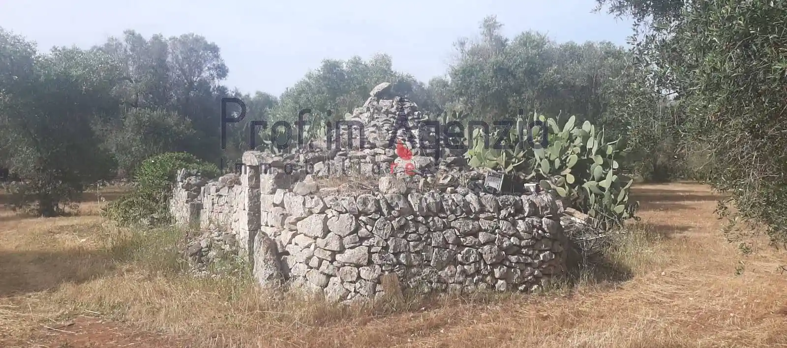 Rustico - Casale in vendita a San Michele Salentino