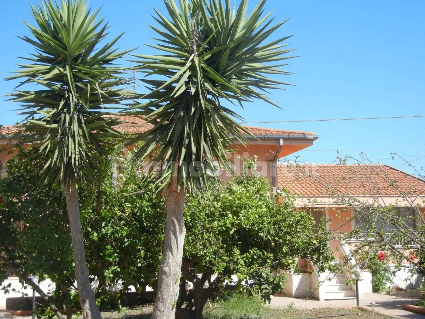 Villa in vendita a Ribera