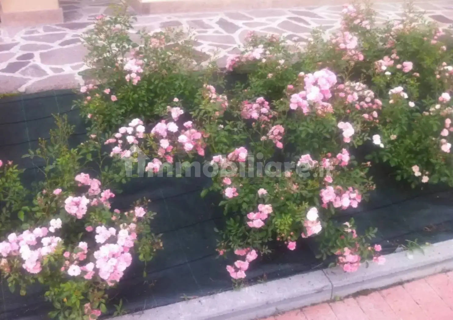 Villa unifamiliare via del Martinetto, Cantarana - foto 4