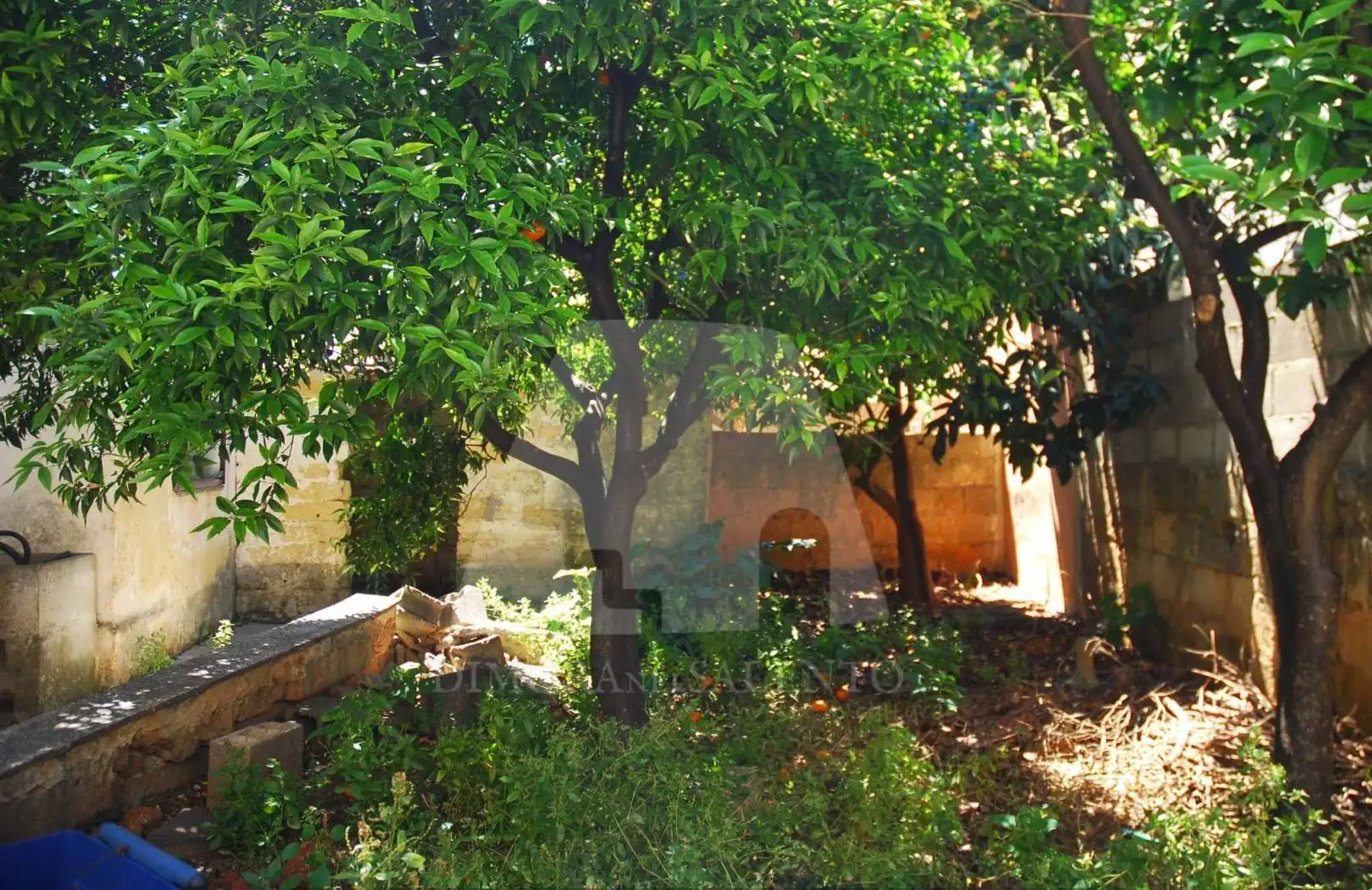 Terratetto unifamiliare via Alfredo Oriani 6, Presicce-Acquarica - foto 3