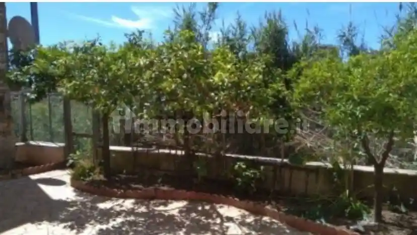 Appartamento in affitto a Nettuno