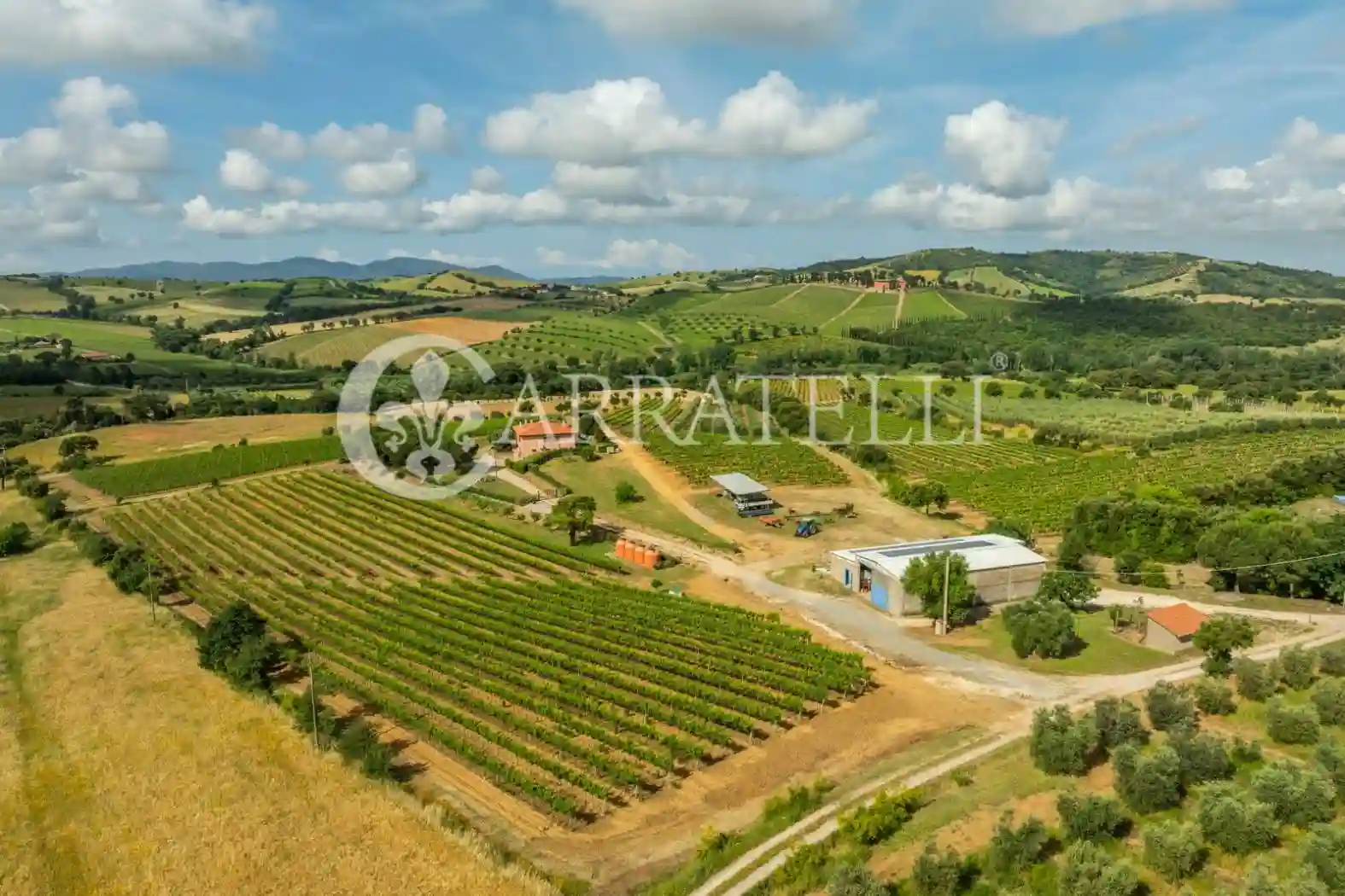 Rustico - Casale - foto 4