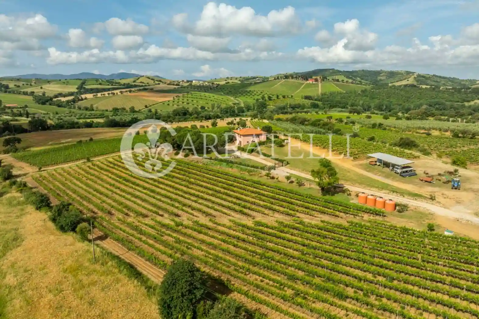 Rustico - Casale - foto 5