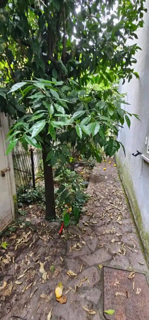 Villa unifamiliare via John Fitzgerald Kennedy, Tortora Marina, Tortora - foto 4