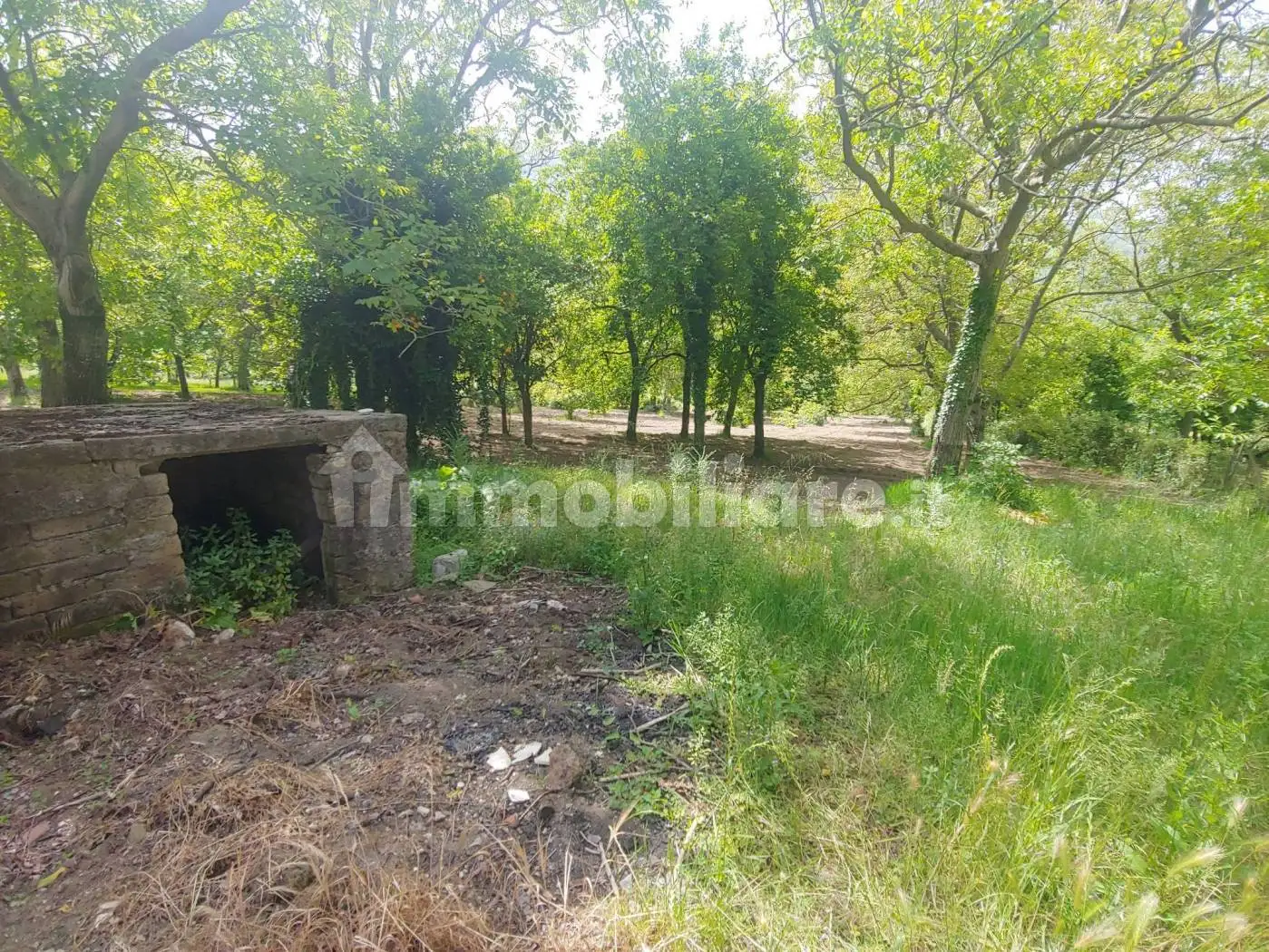 Casale via Roma, Arpaia - foto 4