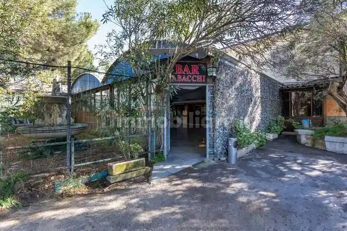 Palazzo - Edificio - foto 3