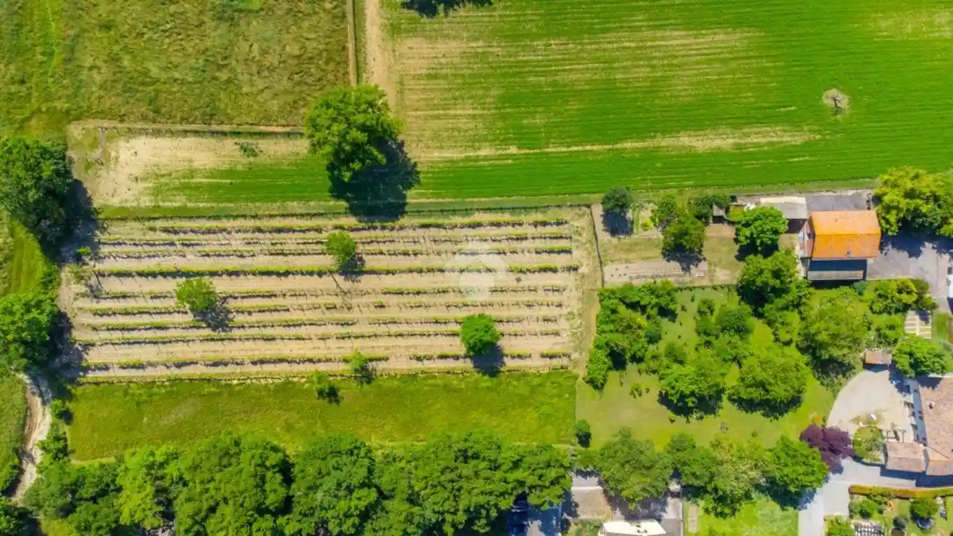 Rustico - Casale in vendita a Quattro Castella