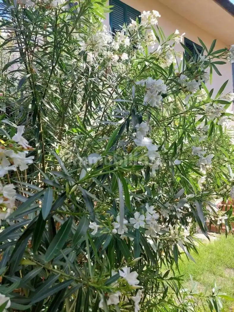 Appartamento in vendita a Castelfranco di Sotto