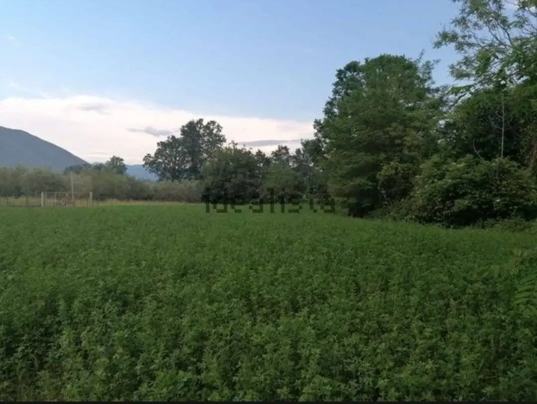 Palazzo - Edificio in Vendita - foto 4