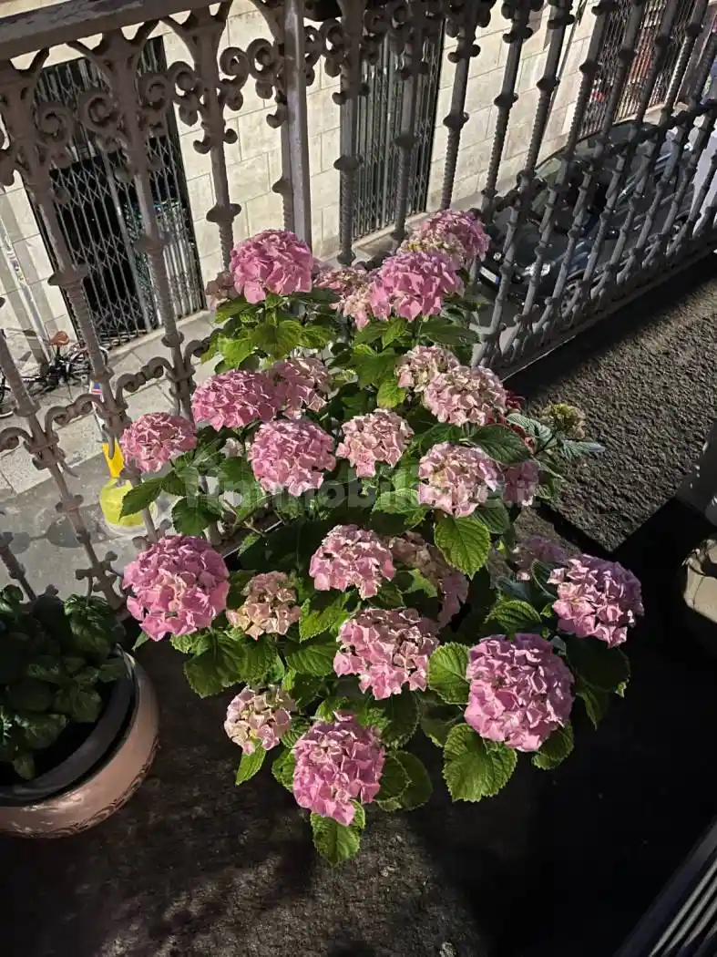 Appartamento in vendita a Alessandria