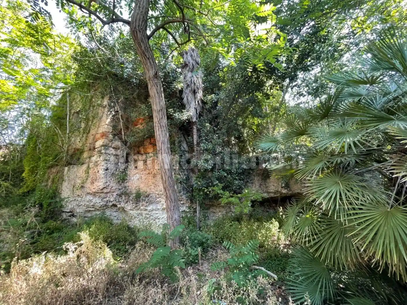 Casa indipendente in vendita a Palermo