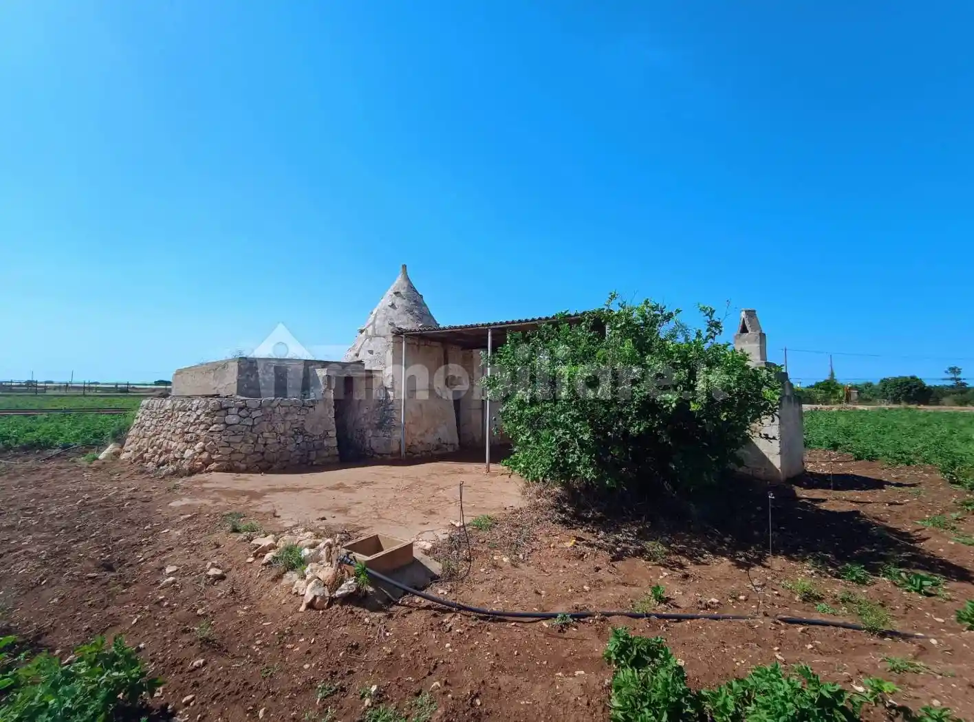Rustico - Casale in vendita a Polignano a Mare
