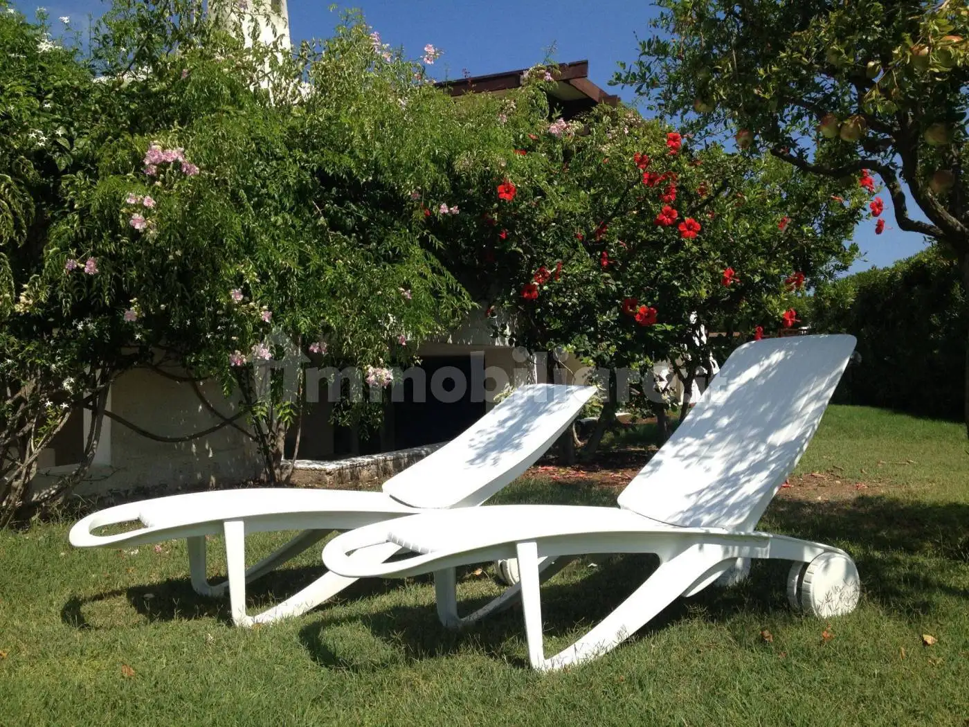 Villa in affitto a Mola di Bari