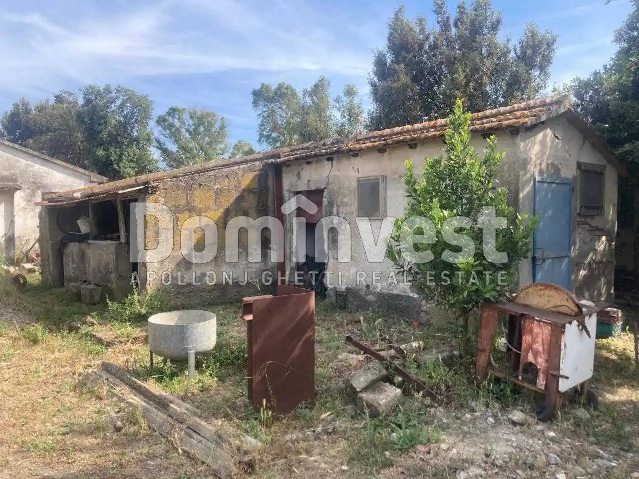 Rustico - Casale in vendita a Capalbio