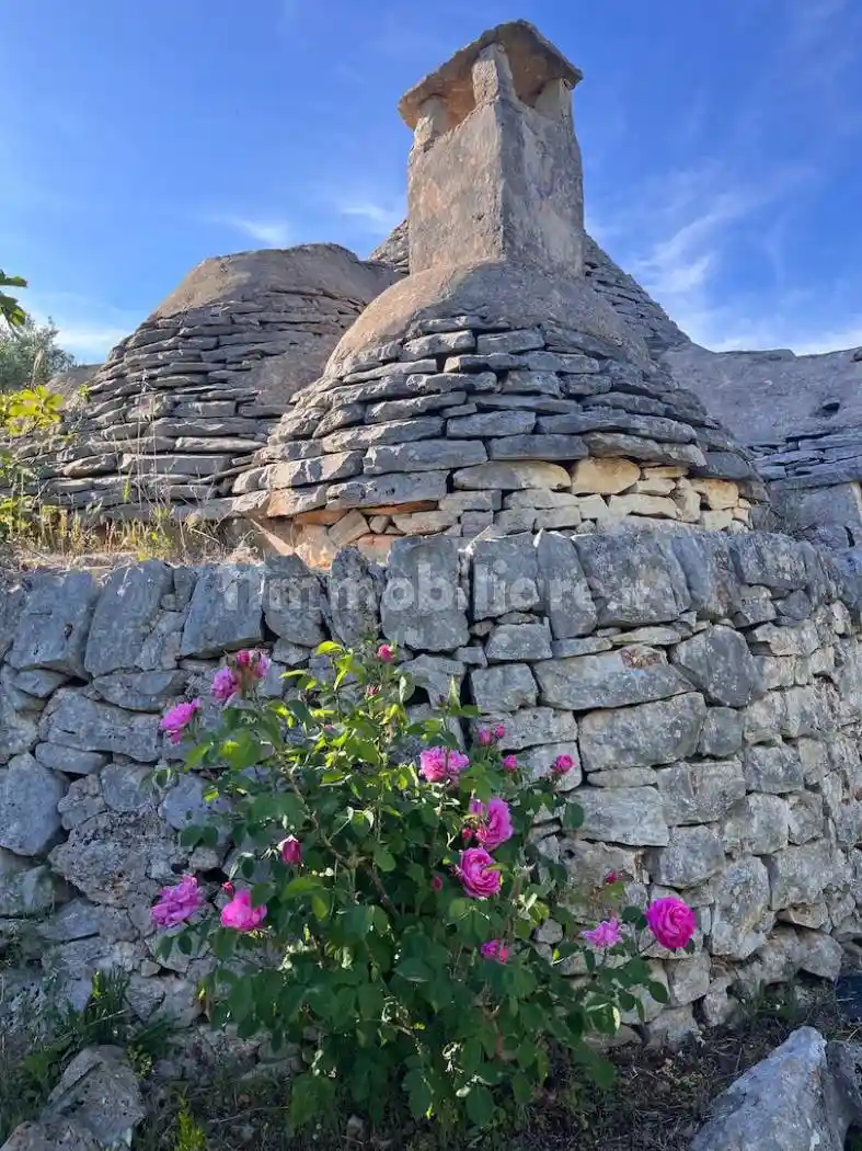 Rustico - Casale in vendita a Ceglie Messapica