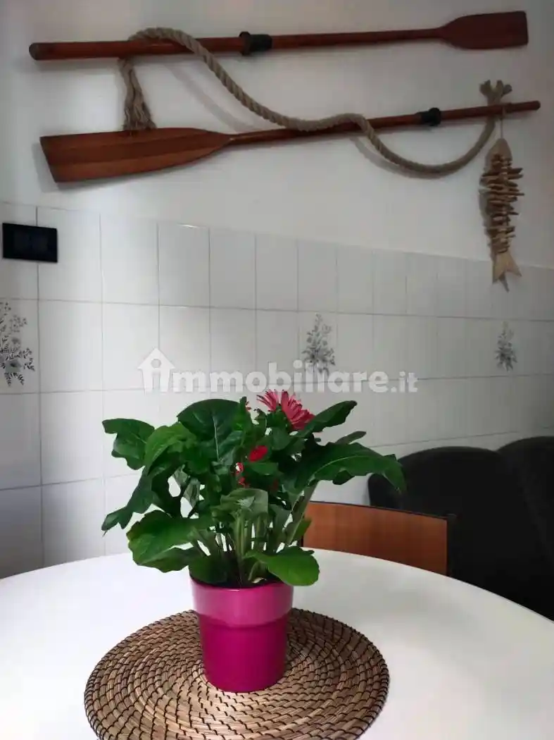 Appartamento in affitto a Rimini