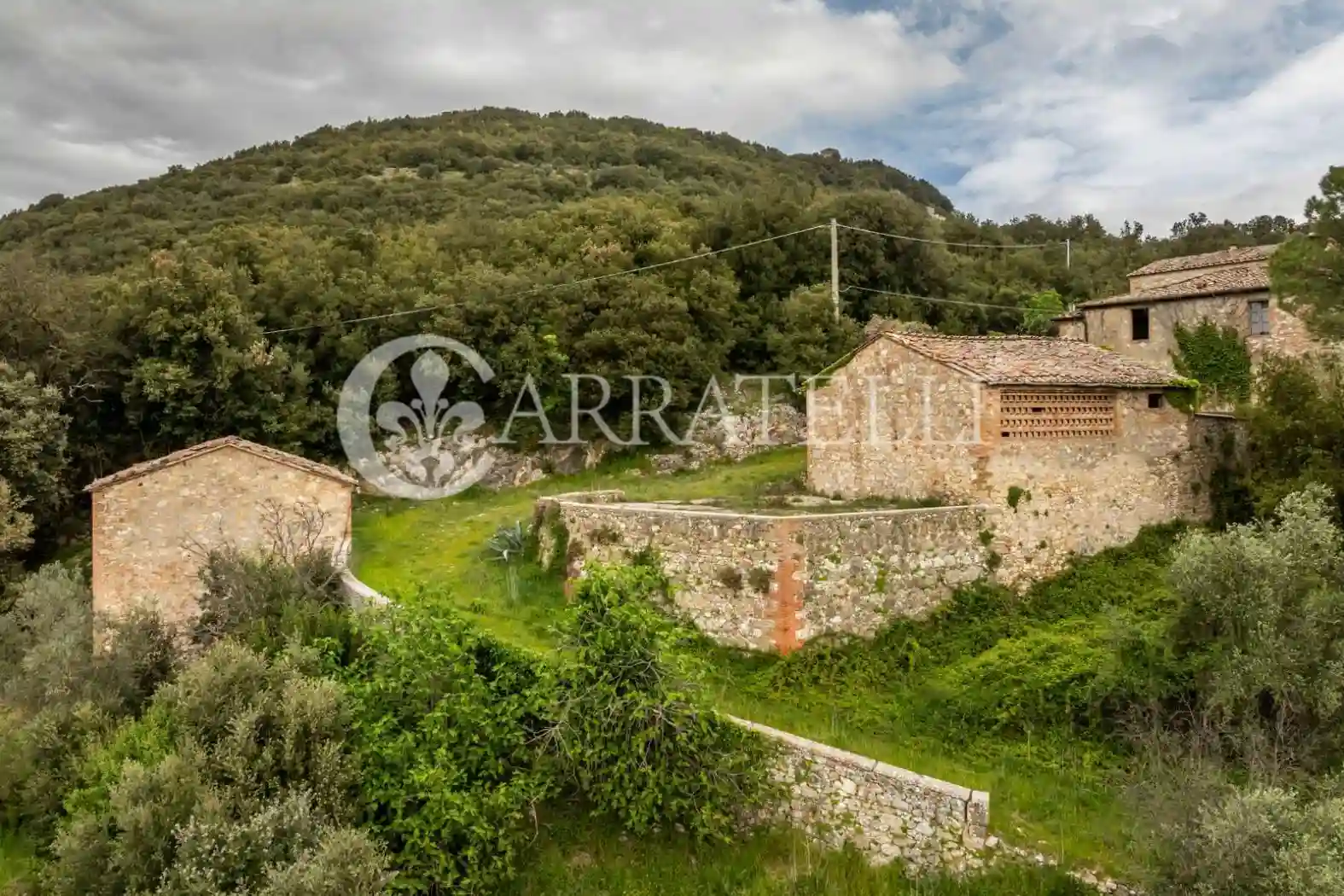 Rustico - Casale - foto 5