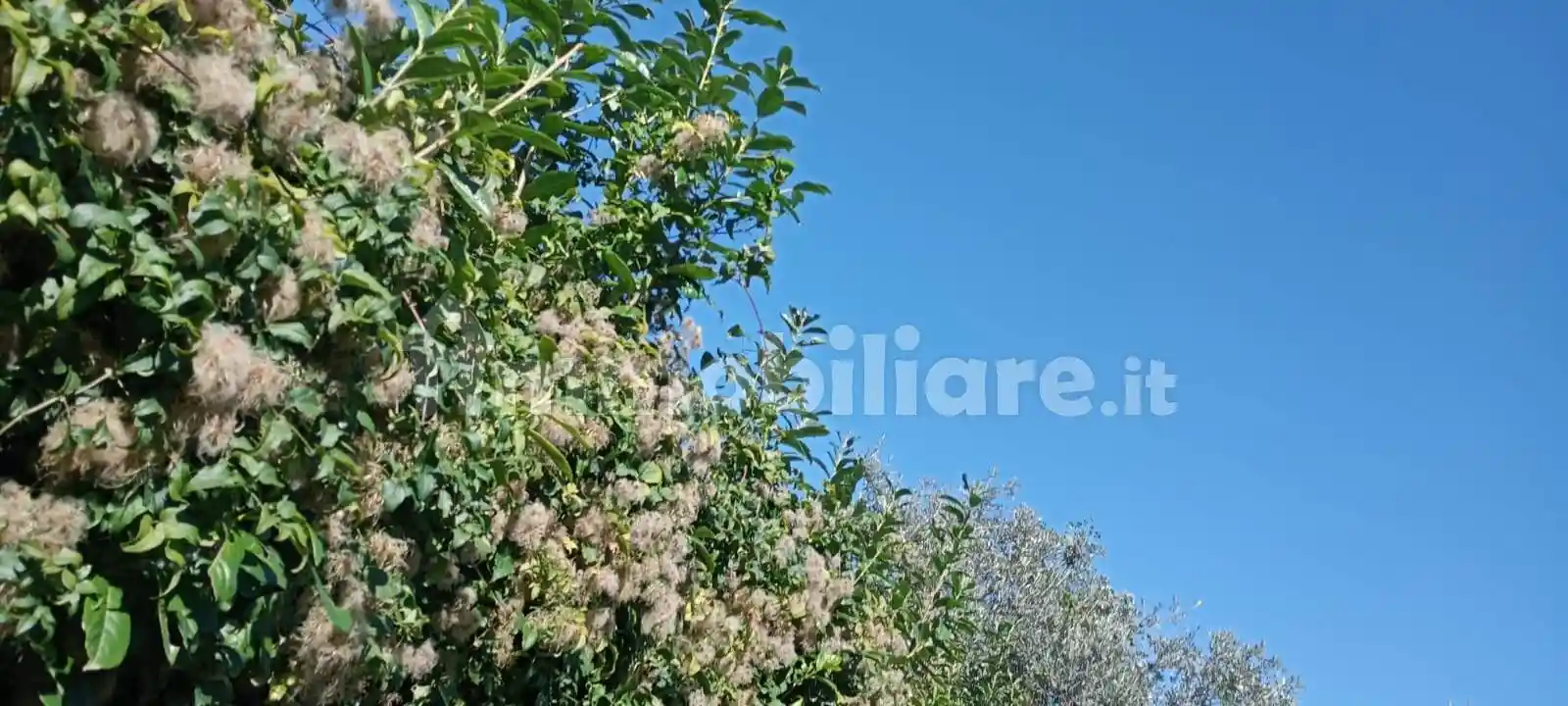 Terratetto unifamiliare via Sant'Agostino, Castello del Matese - foto 2