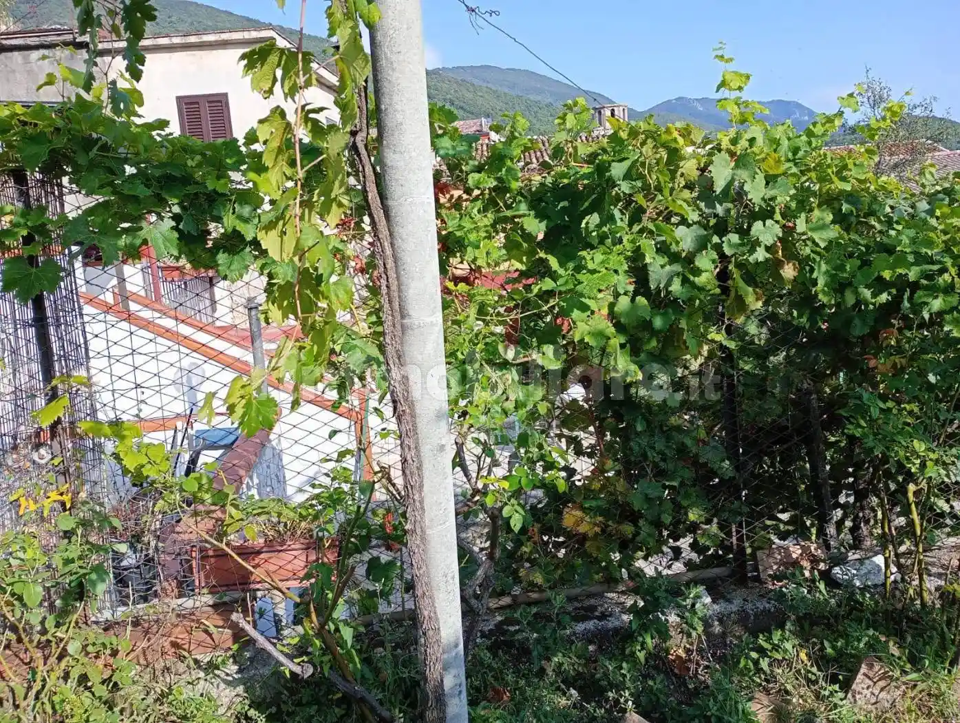 Terratetto unifamiliare Sp331, Castello del Matese - foto 2