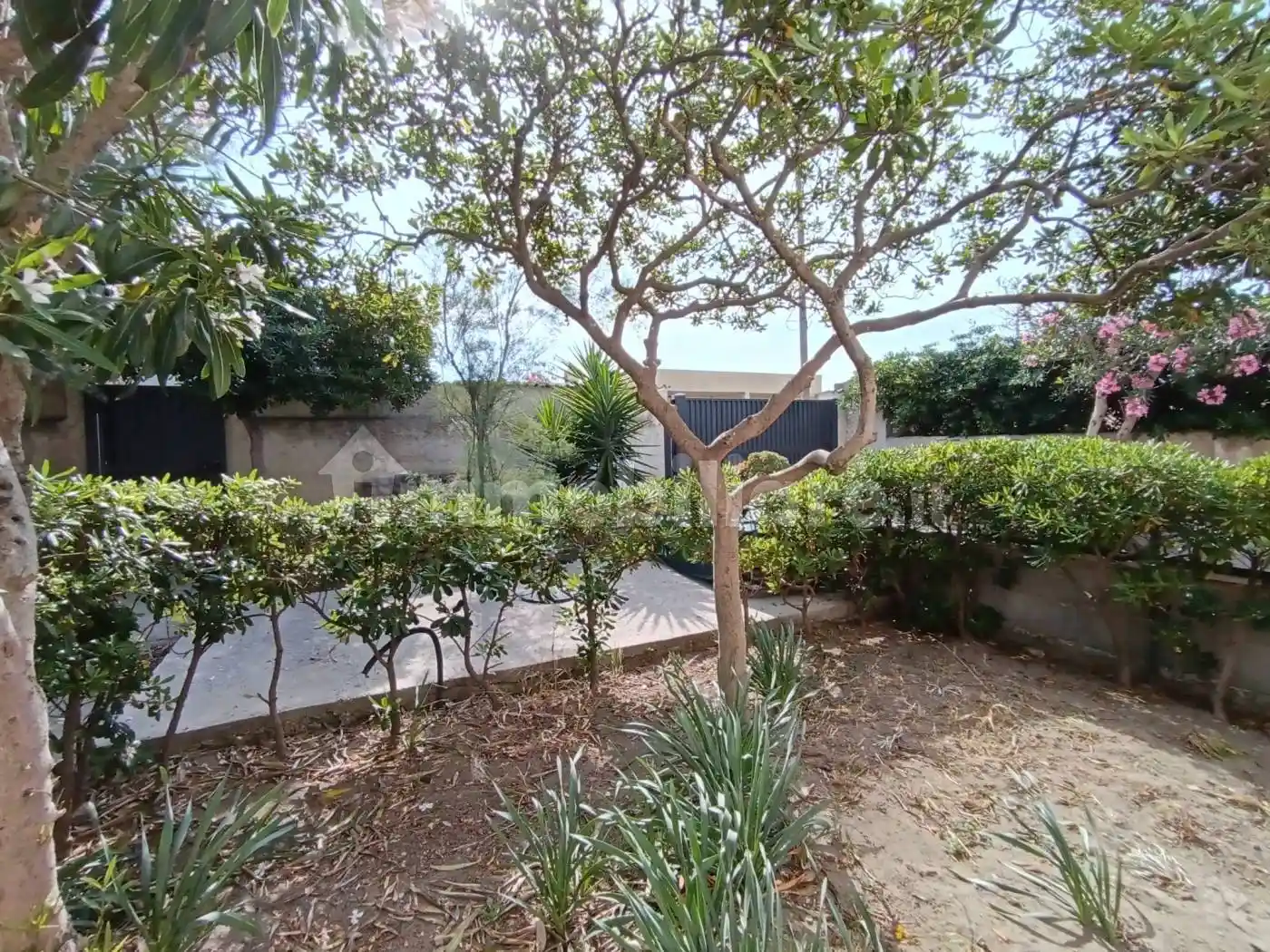 Trilocale viale di Focene, Focene, Fiumicino - foto 2