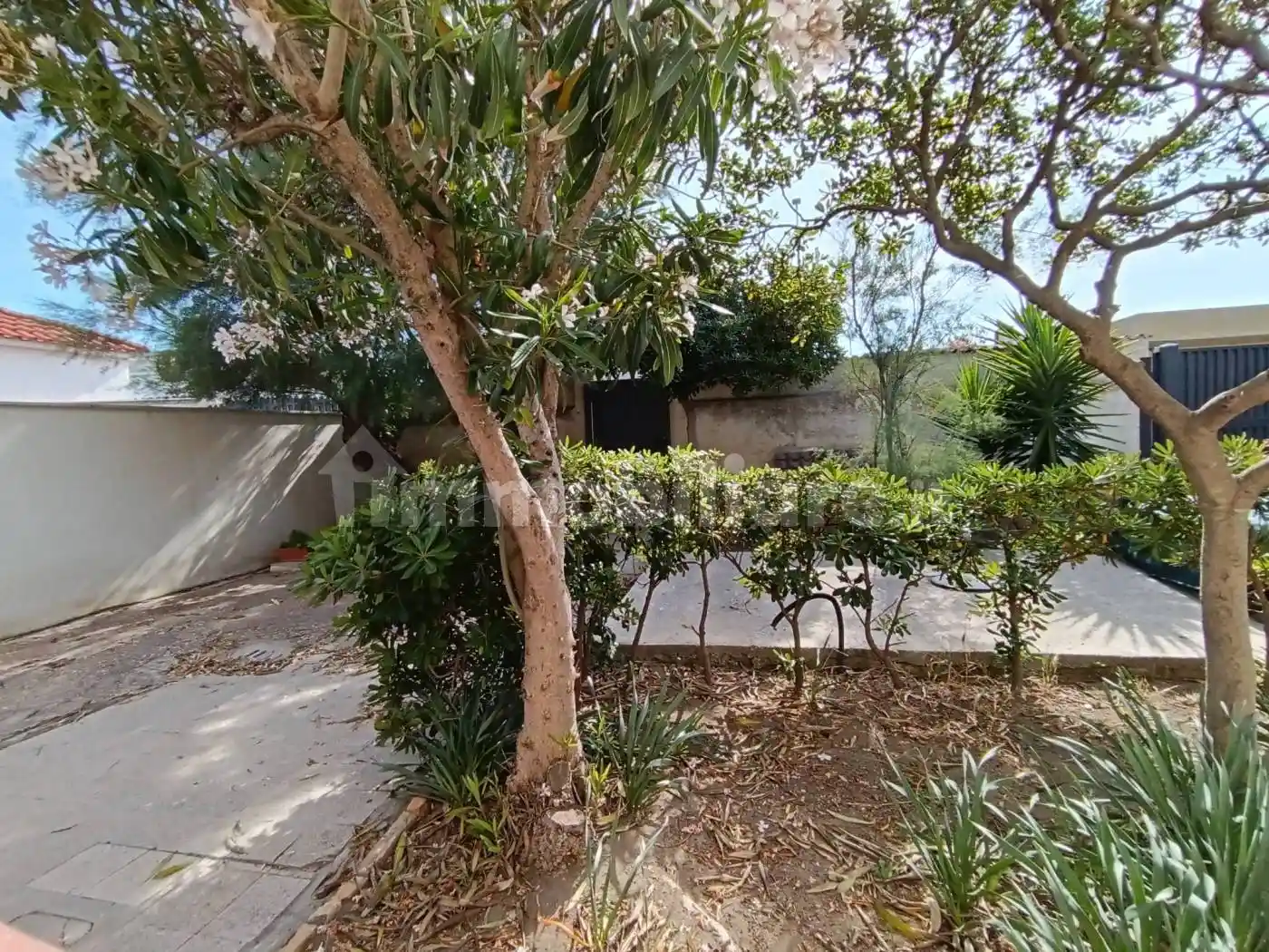 Trilocale viale di Focene, Focene, Fiumicino - foto 4