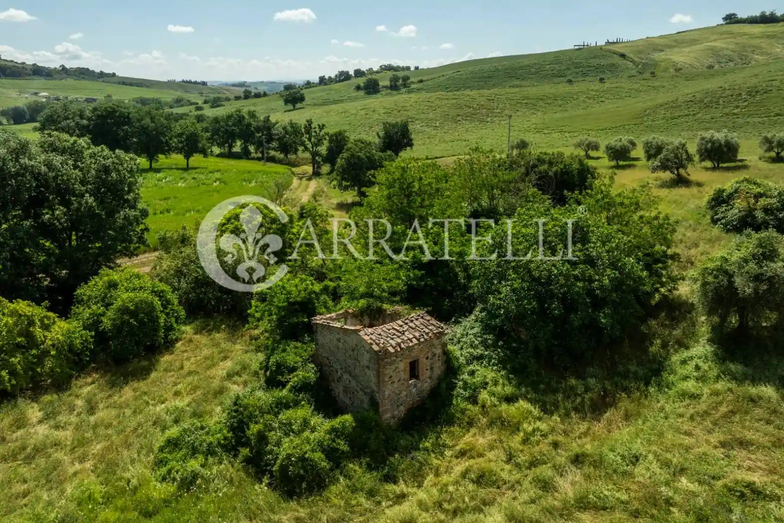 Rustico - Casale in vendita a Torrita di Siena