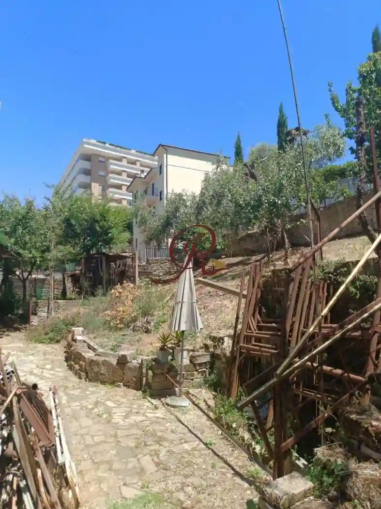 Palazzo - Edificio - foto 5