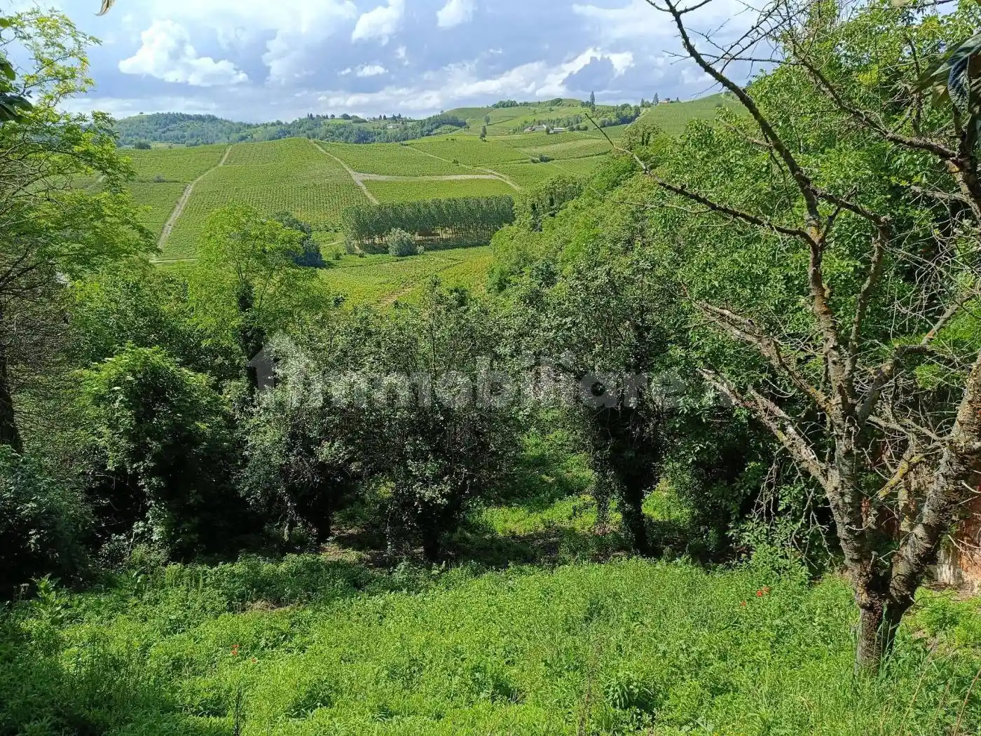 Rustico - Casale in vendita a Alice Bel Colle