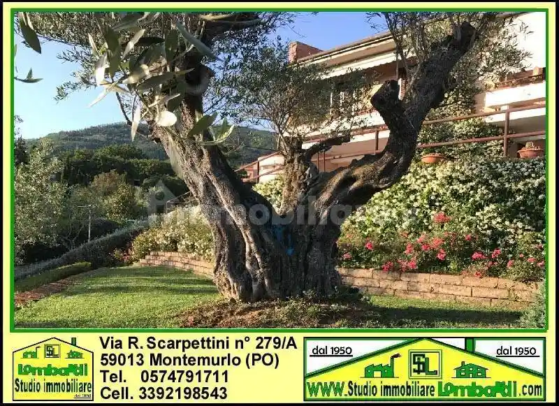 Villa in vendita a Montale