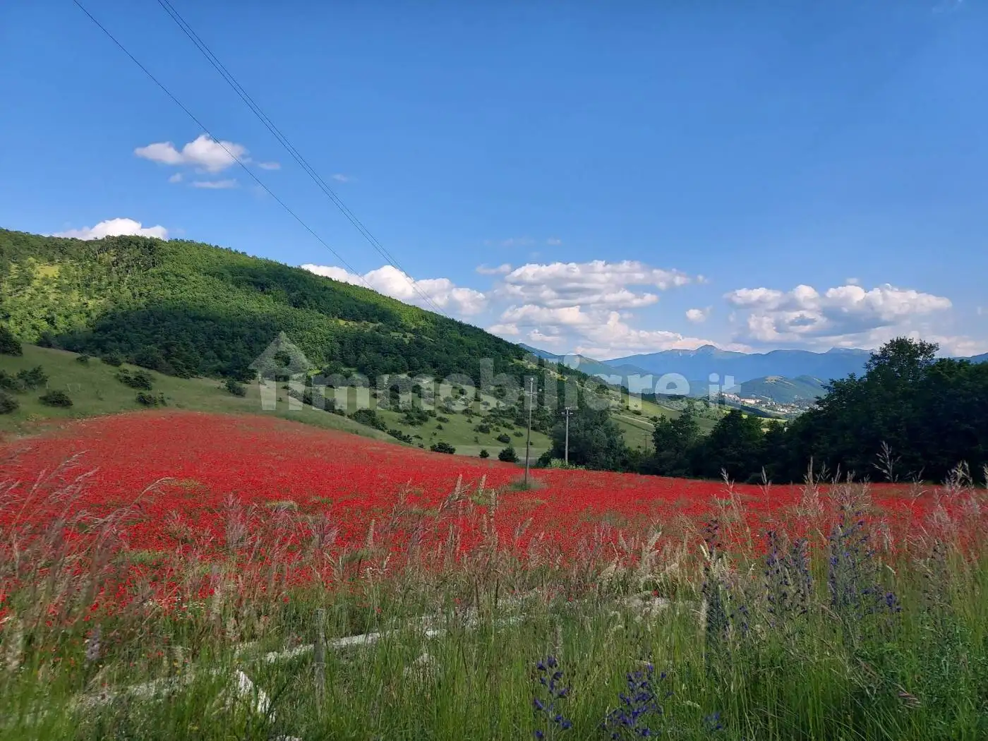 Appartamento in vendita a Monteleone di Spoleto
