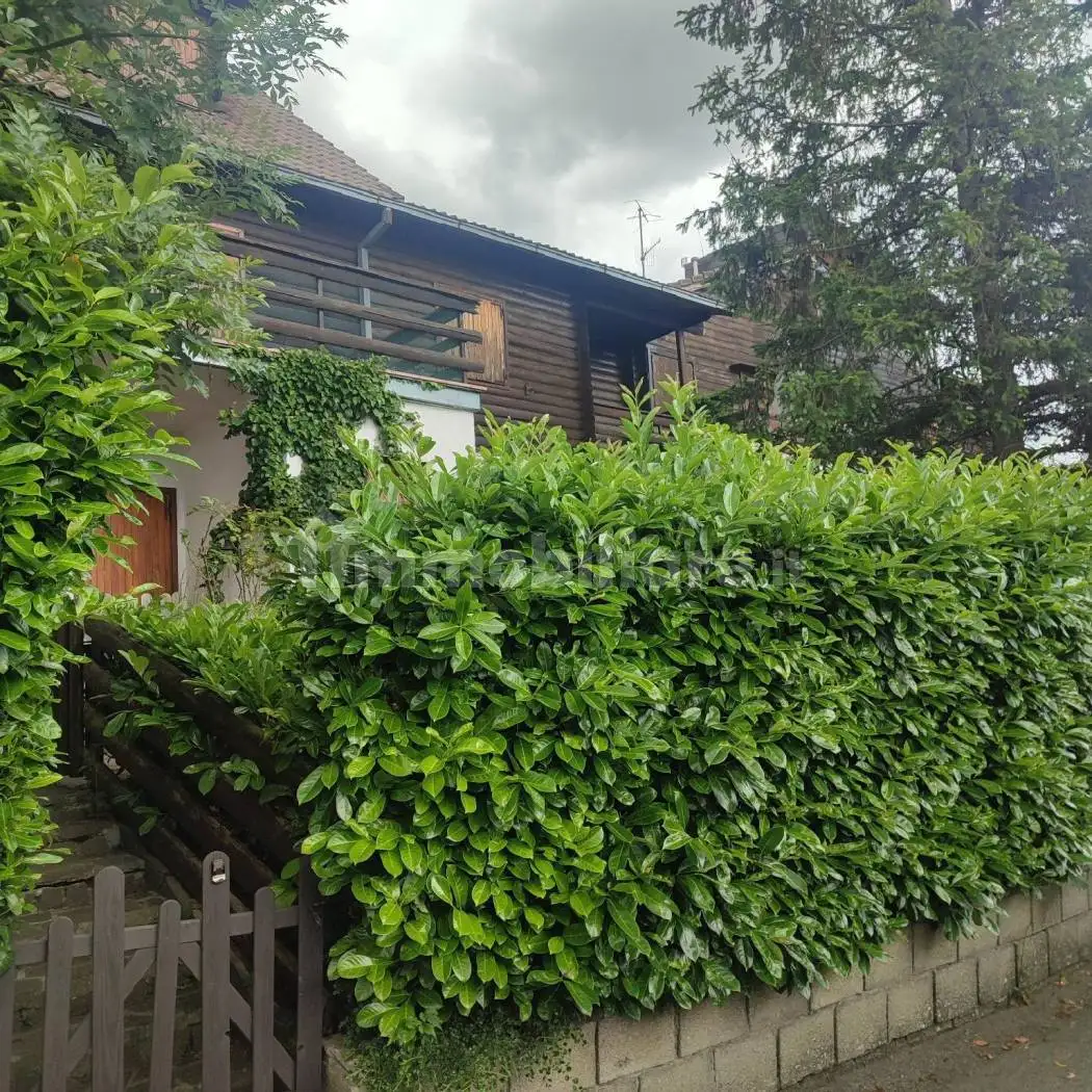 Casa indipendente in vendita a San Benedetto Val di Sambro