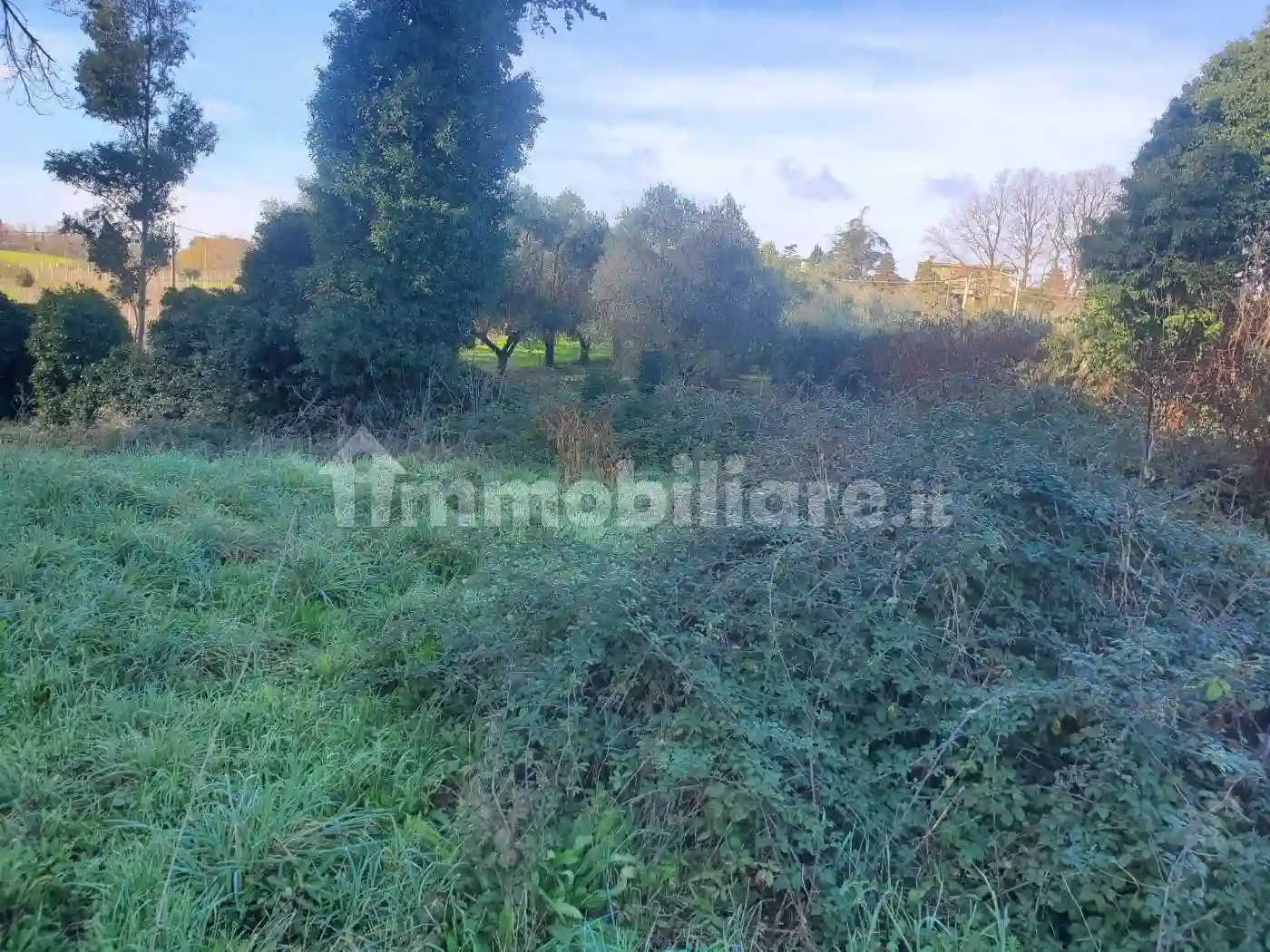 Palazzo - Edificio - foto 3