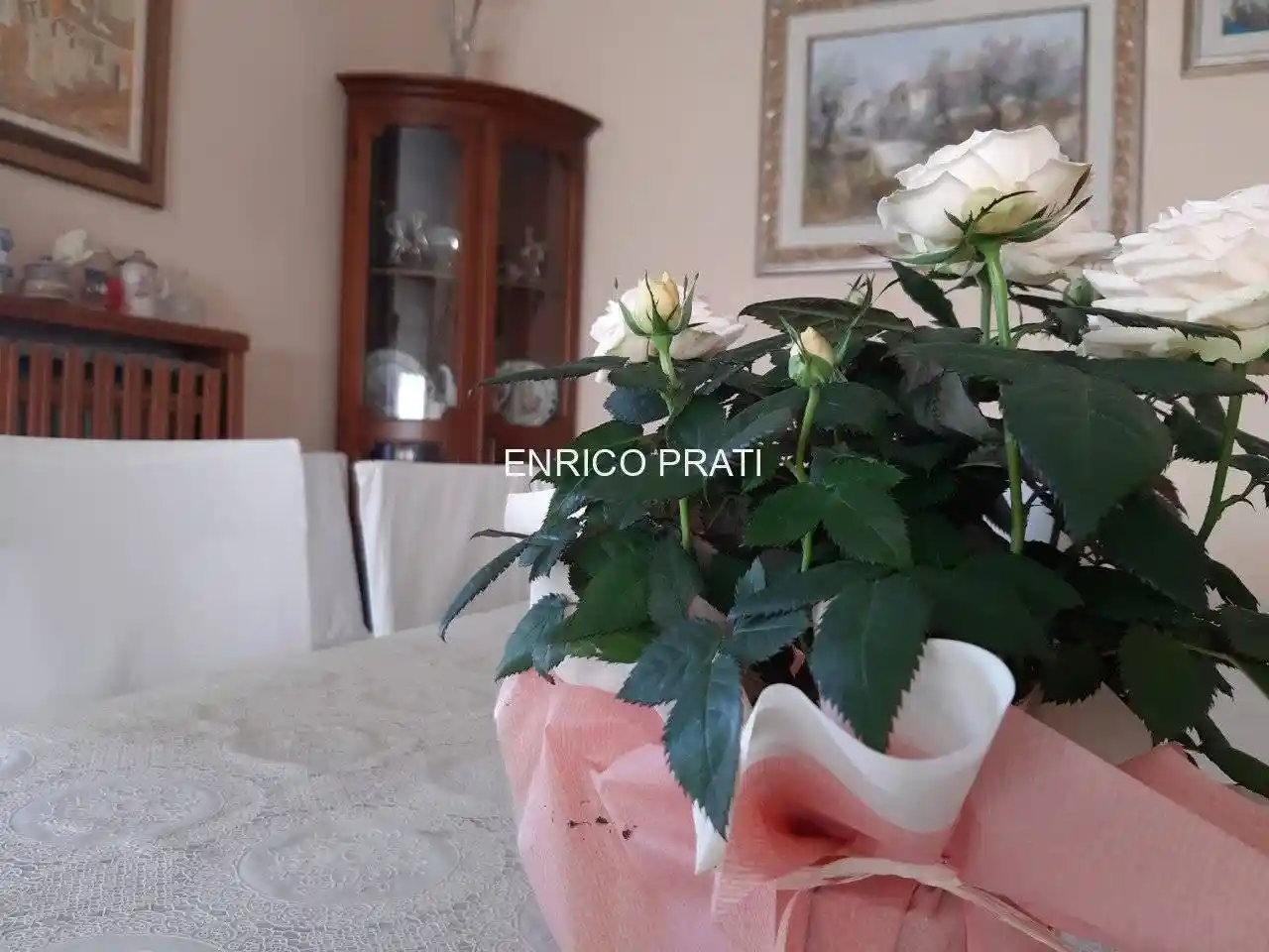 Villa in vendita a Bassano del Grappa