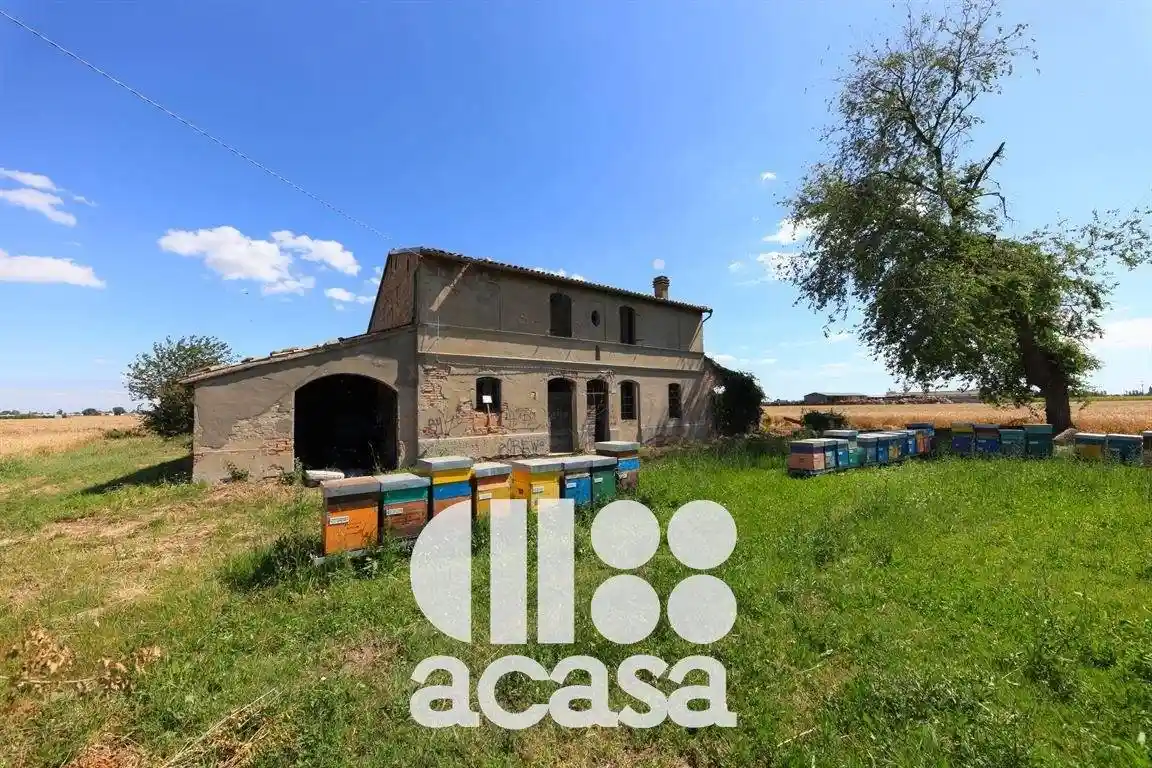 Rustico sansovini 5, Pievequinta, Forlì - foto 3