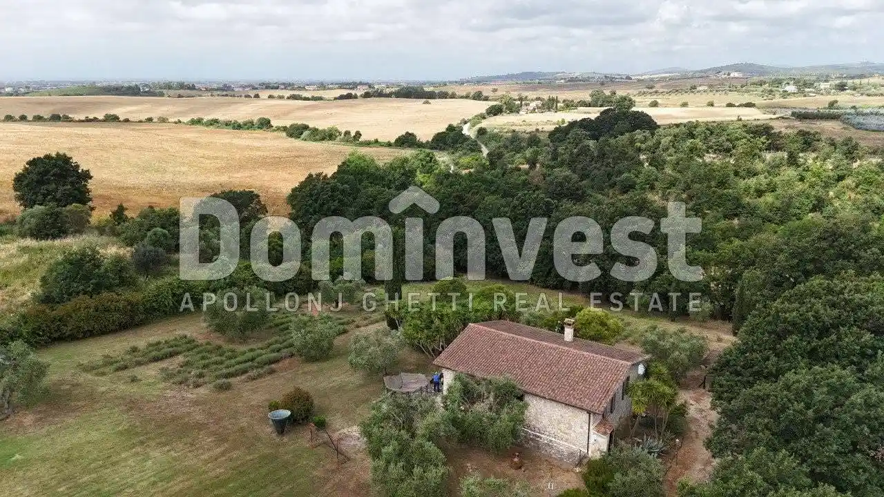 Rustico - Casale in affitto a Capalbio