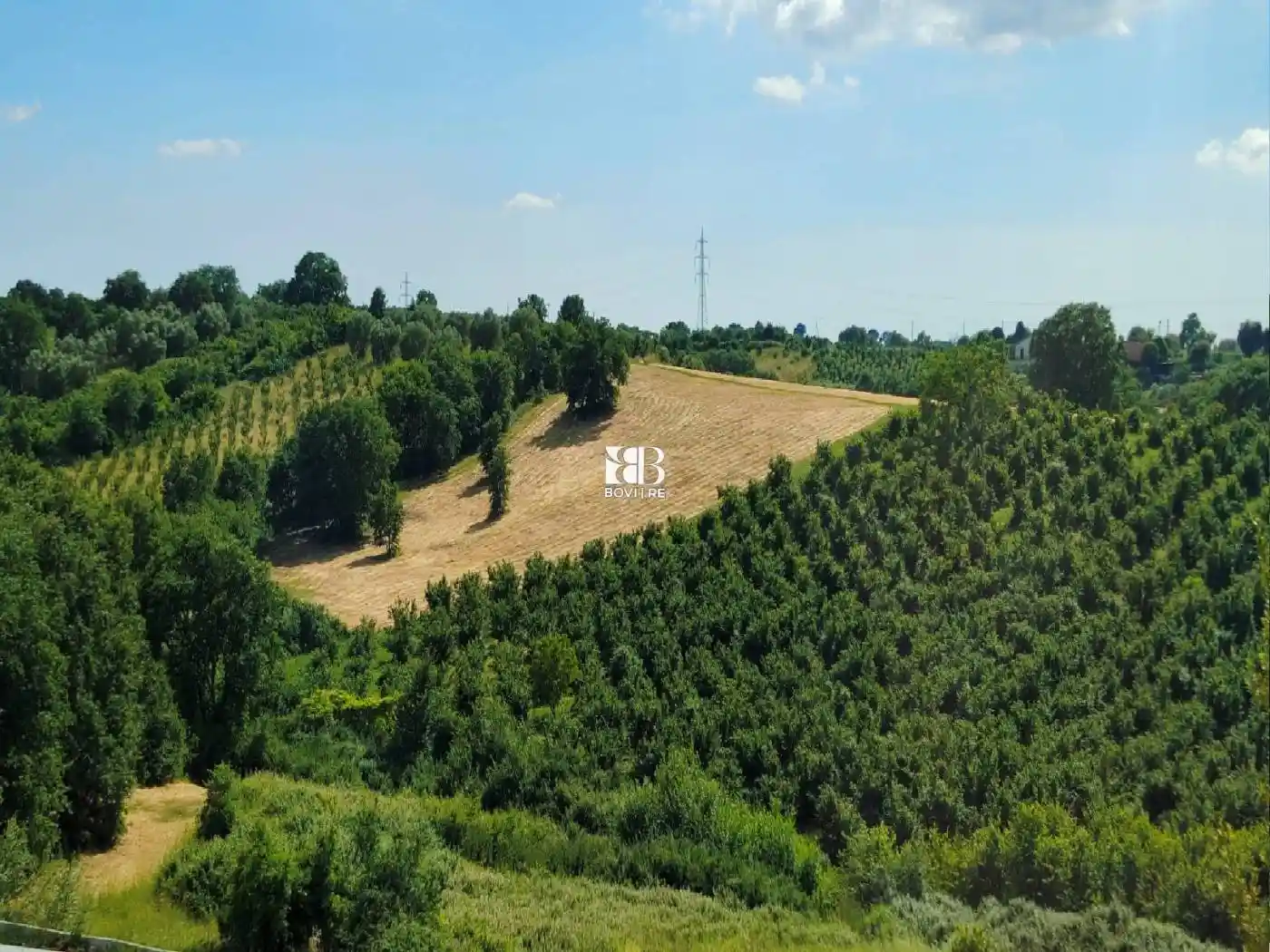 Palazzo - Edificio in vendita a Faleria